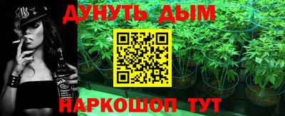 индика Мариинск