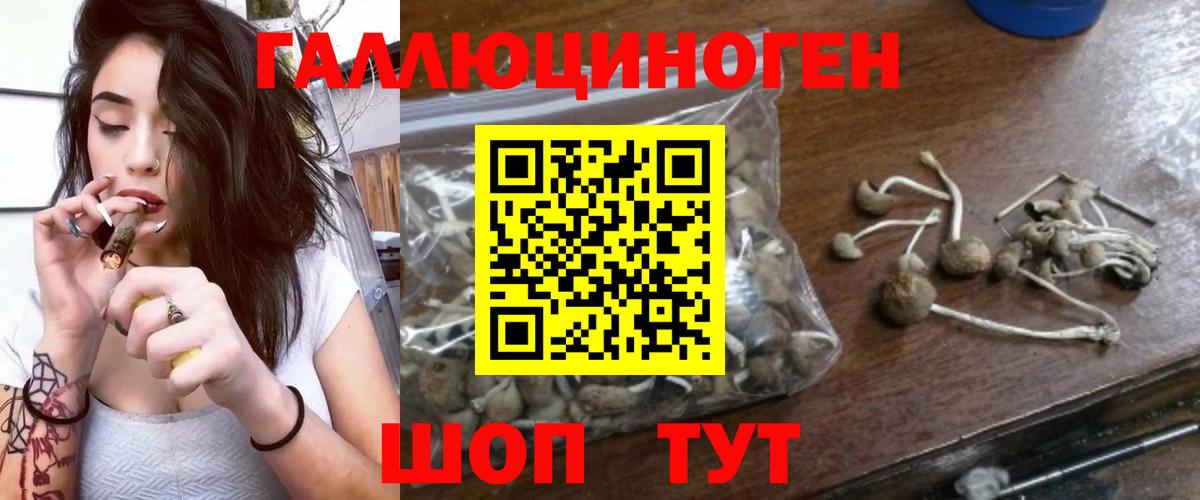 Пугачёв  Псилоцибиновые грибы GOLDEN TEACHER  хочу   Вход с VPN 