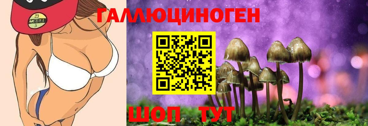 Псилоцибиновые грибы Magic Shrooms Пугачёв