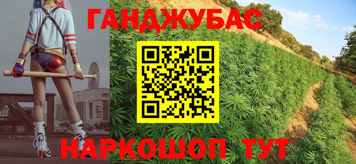 Пугачёв  Канабис Bruce Banner  Канабис ГИДРОПОН  Вход с VPN  Каннабис план 